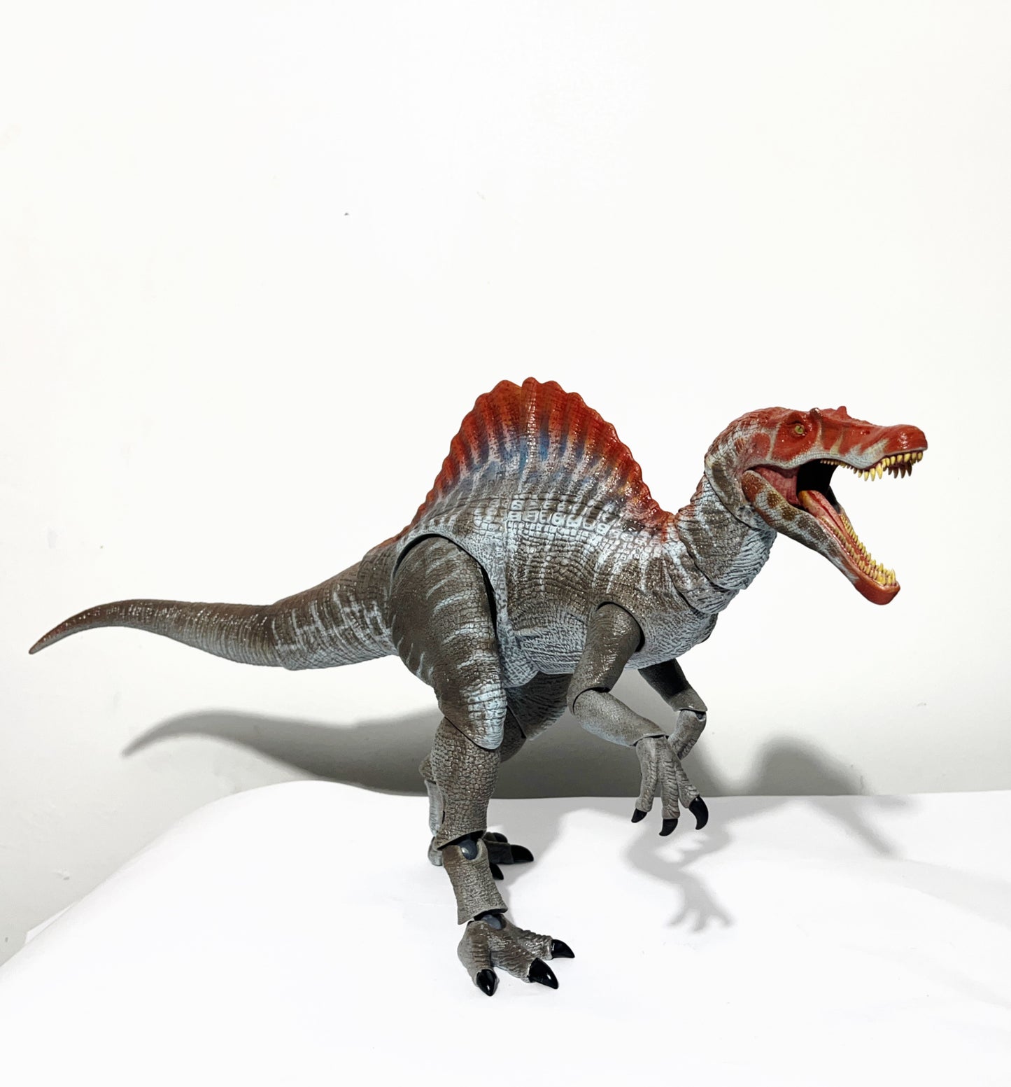 Spinosaurus 1/25 Scale Special proce Limited to 10
