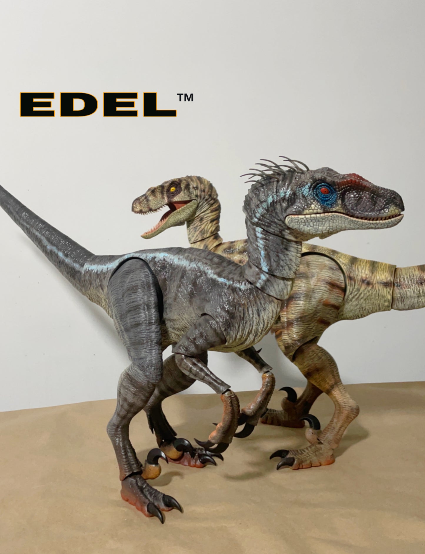 Velociraptor MV3M 1/6 scale Super Articulated INTRODUCTORY PRICE