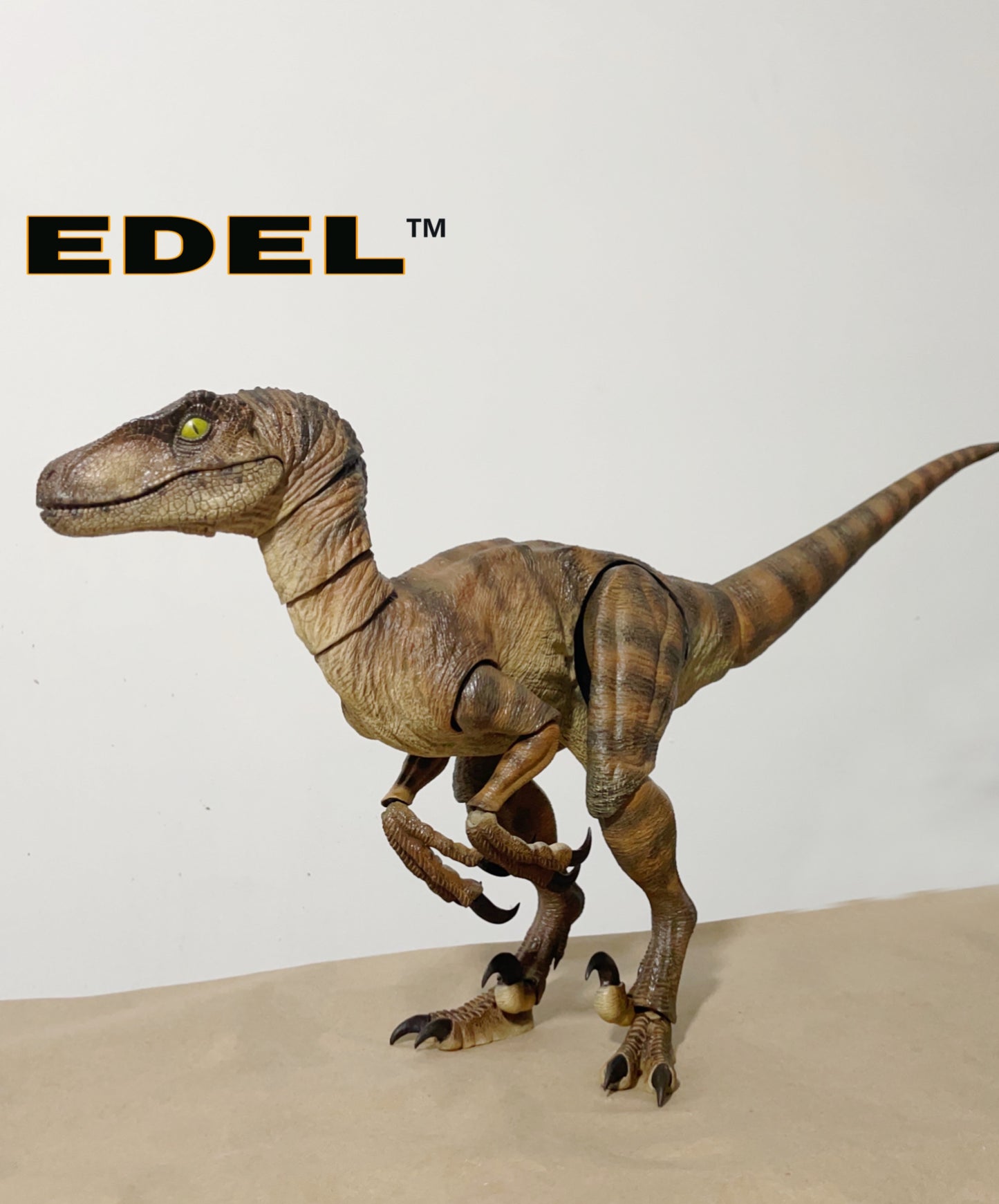 Velociraptor MV1 1/6 scale Super Articulated limited