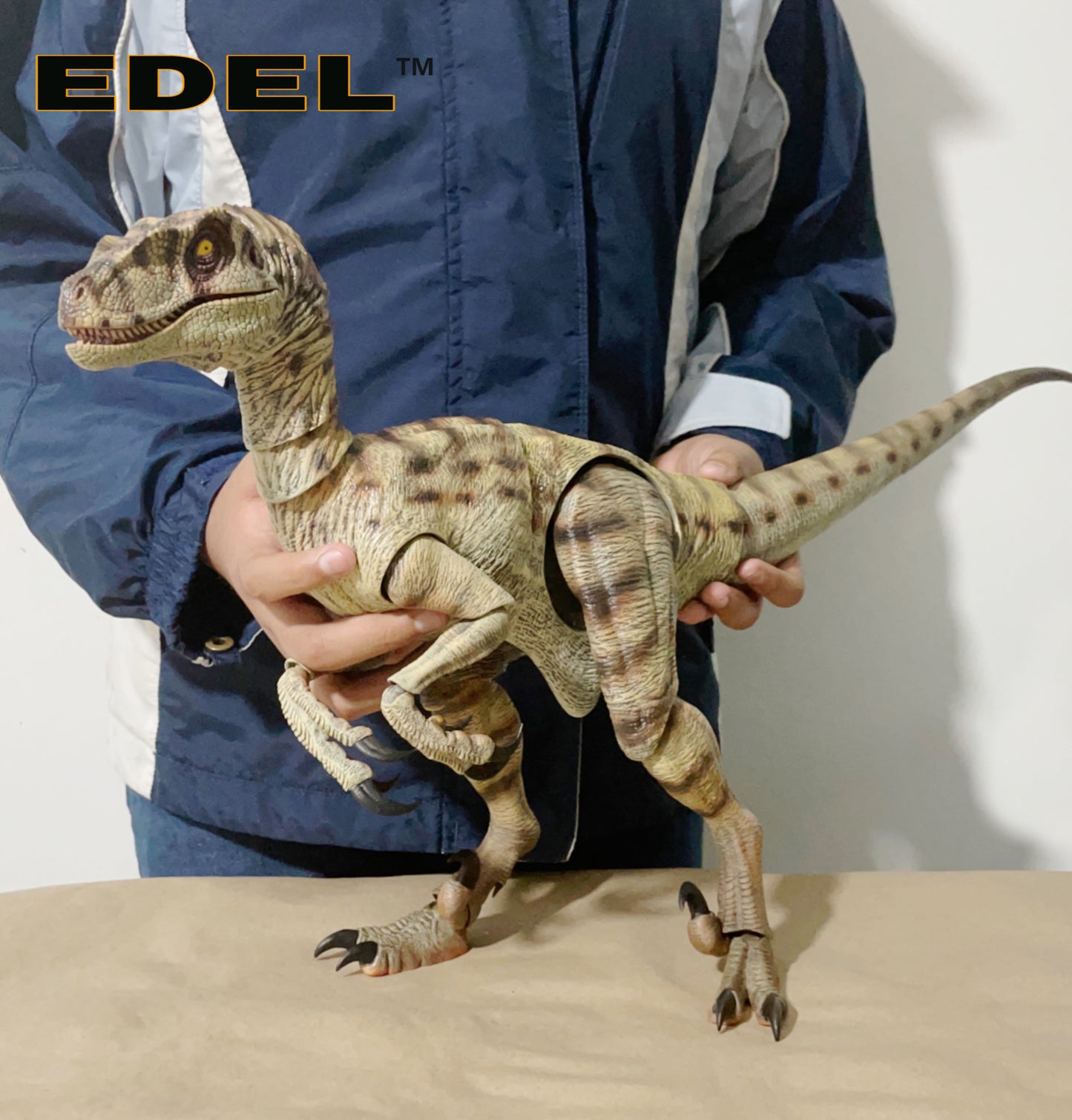 Velociraptor MV3F 1/6 scale Super Articulated