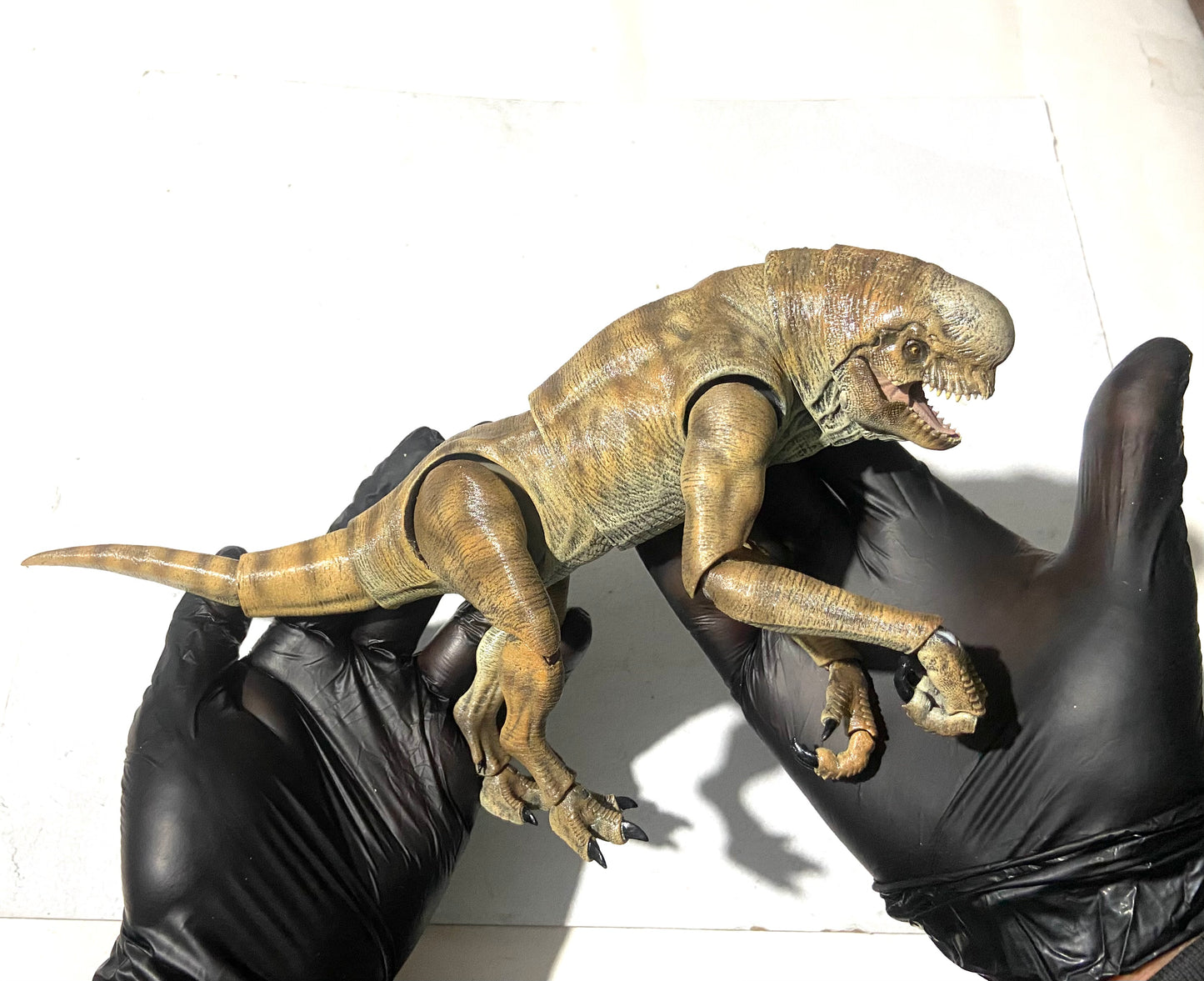Hybrid REXY Pocketsaurus