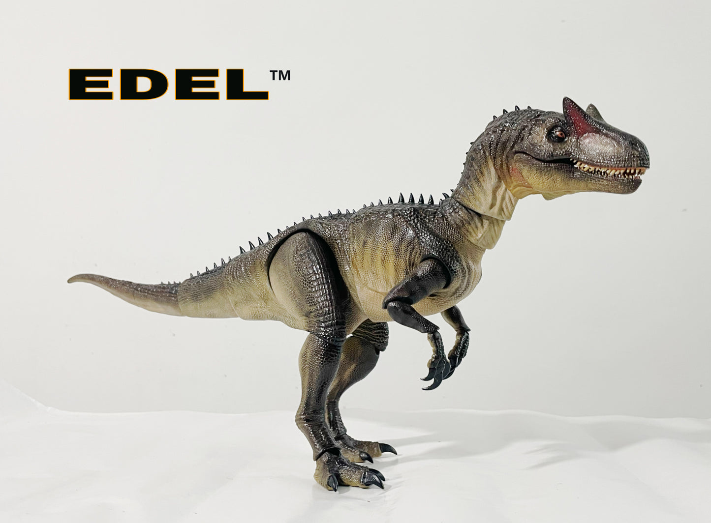 Allosaurus MVY   1/20 scale super Articulated