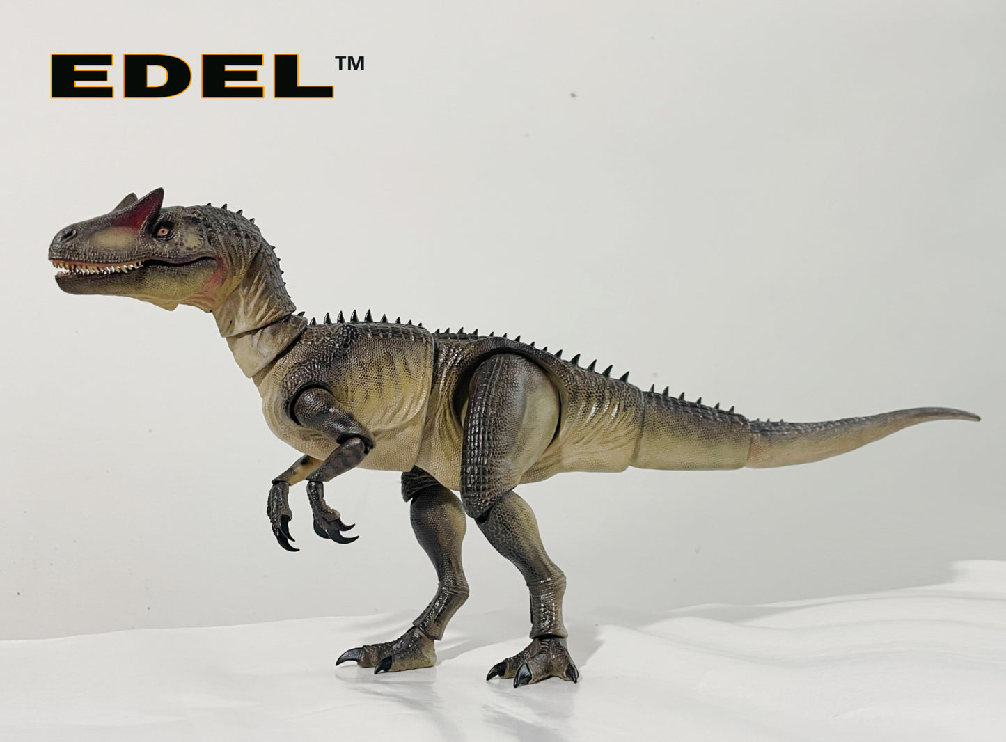 Allosaurus MVY   1/20 scale super Articulated