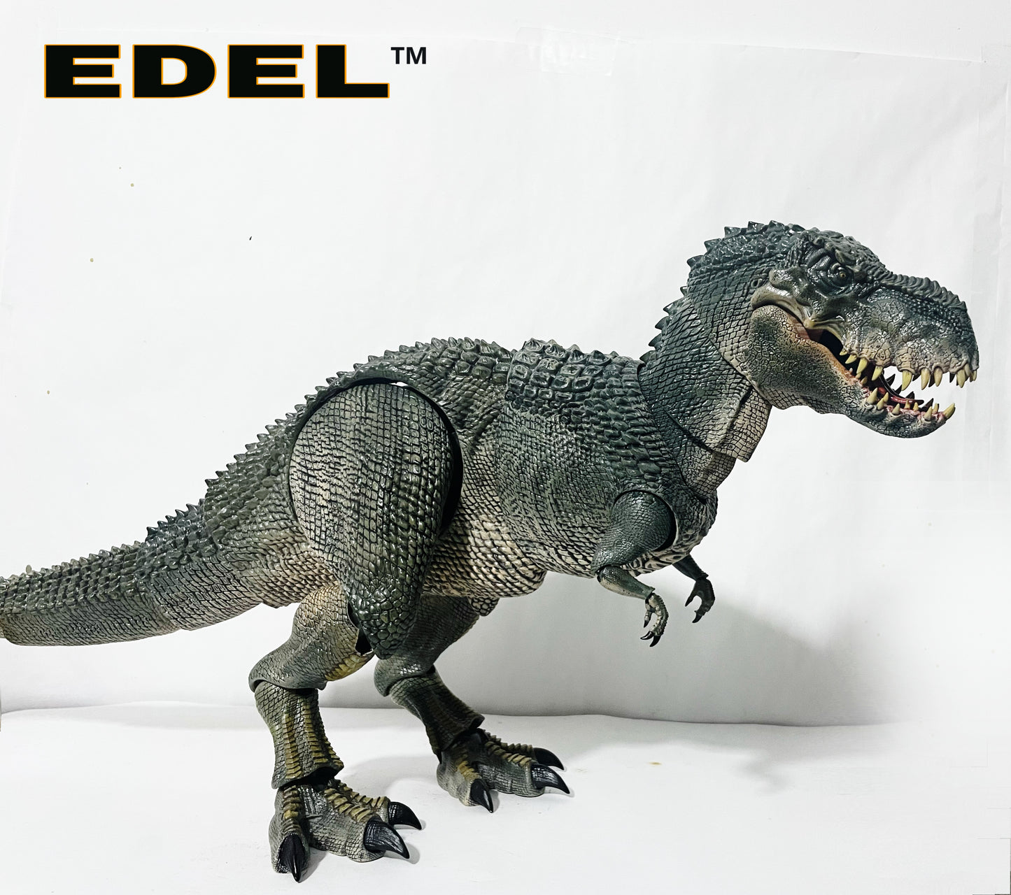 MV Rex 1/20 scale Super articulated