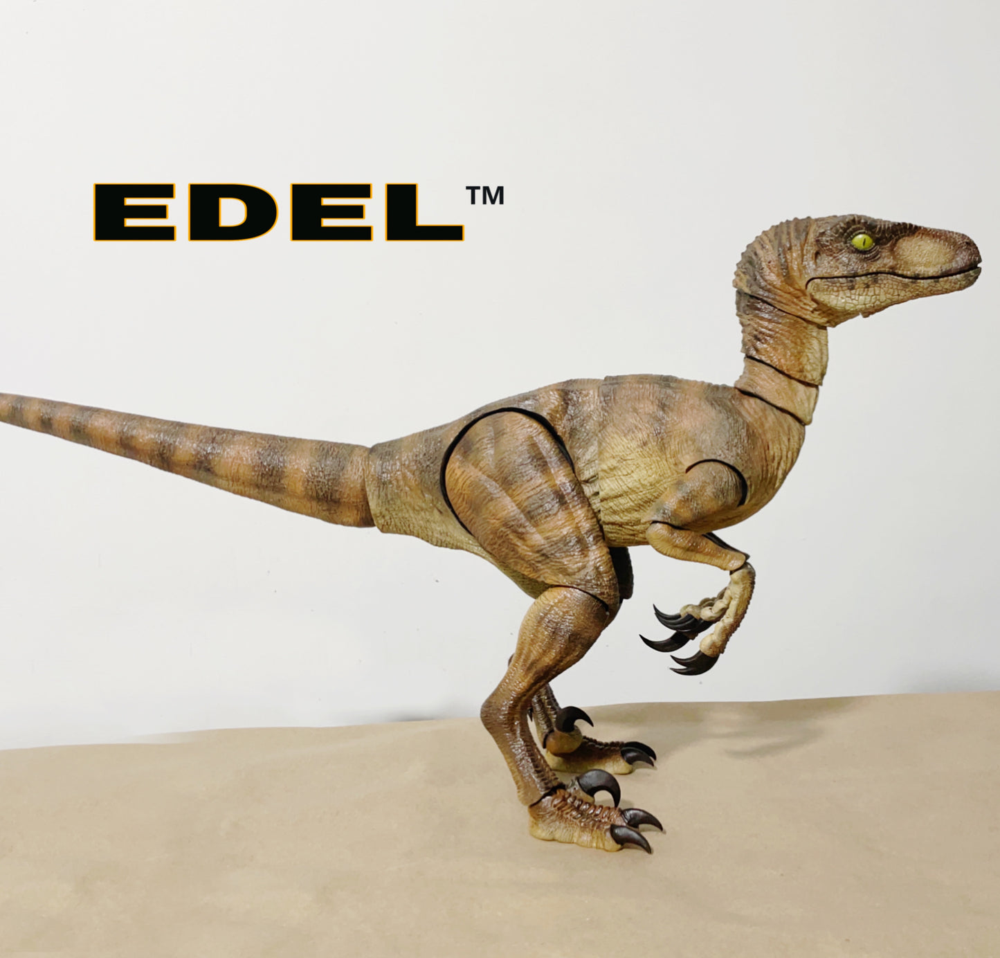 Velociraptor MV1 1/6 scale Super Articulated limited