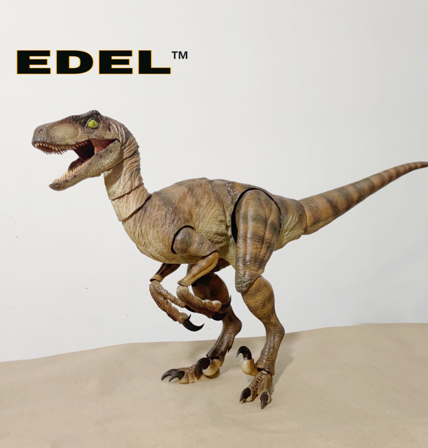 Velociraptor MV1 1/6 scale Super Articulated limited