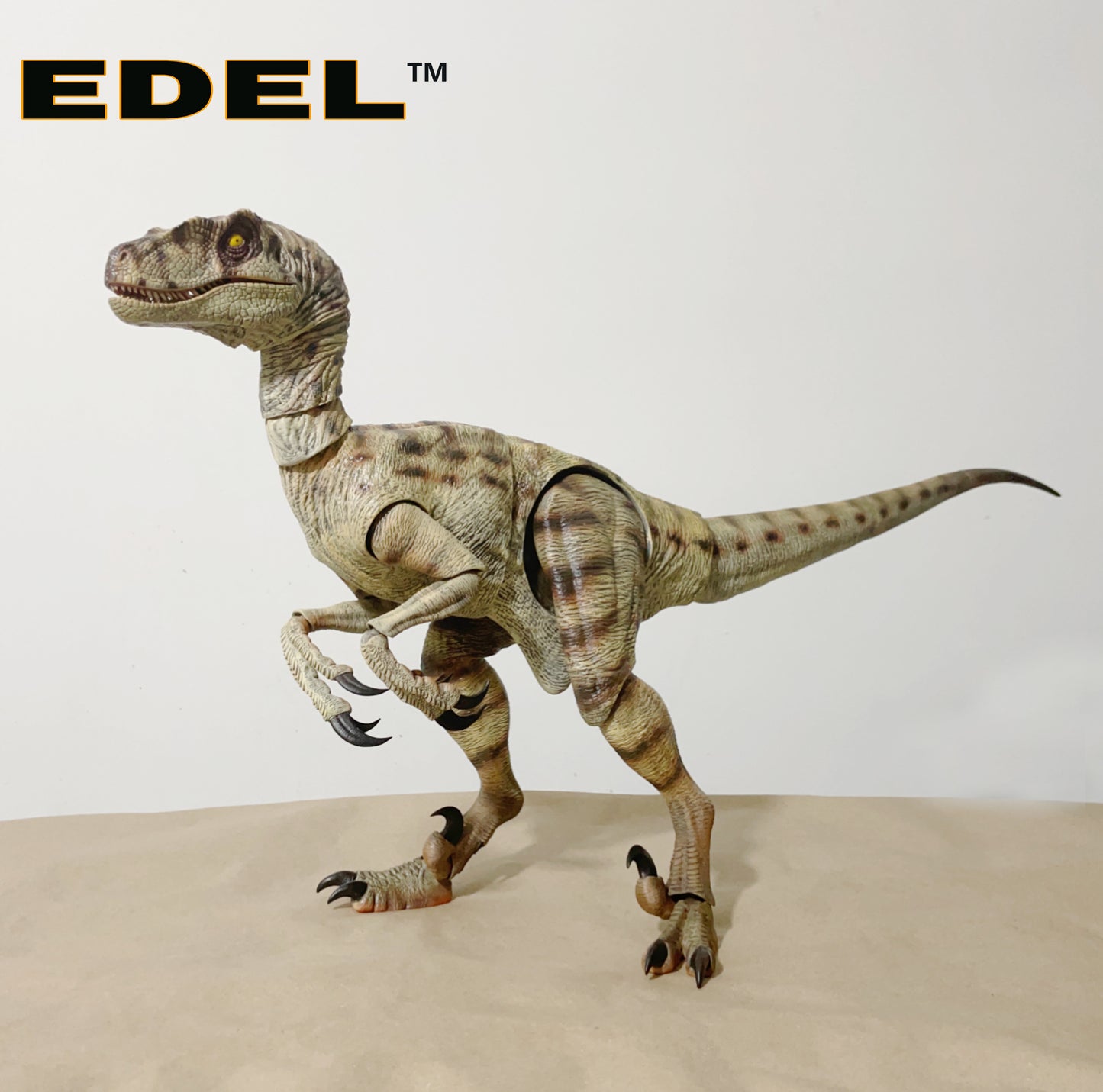 Velociraptor MV3F 1/6 scale Super Articulated