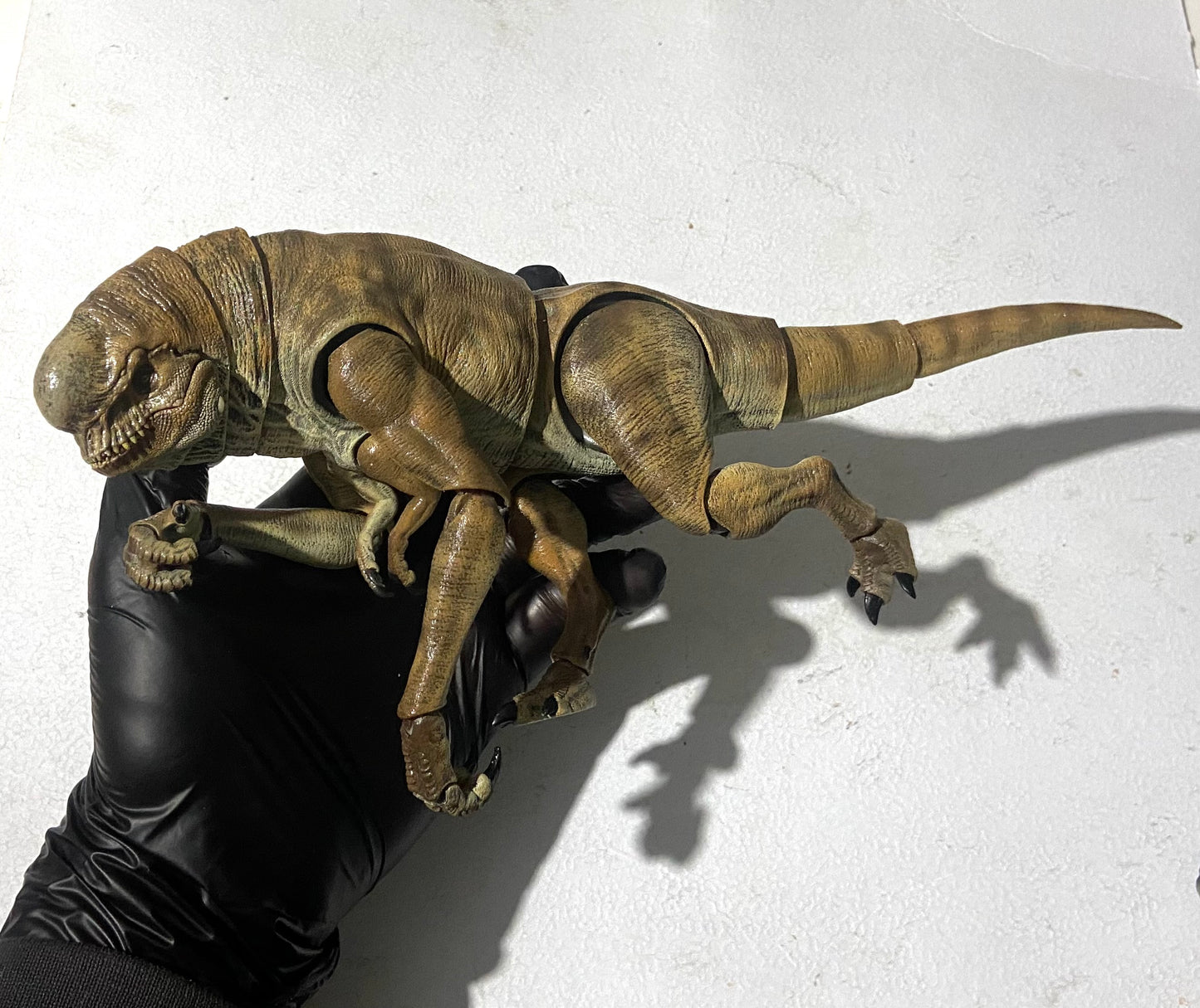 Hybrid REXY Pocketsaurus