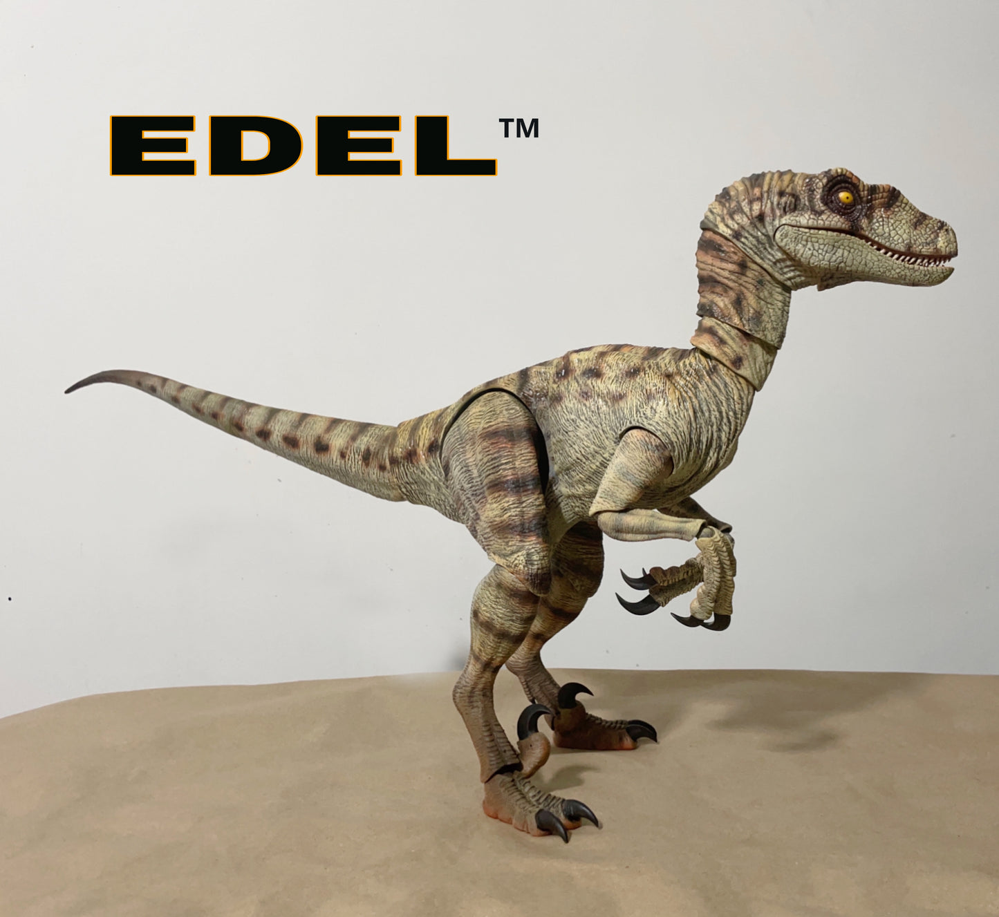 Velociraptor MV3F 1/6 scale Super Articulated