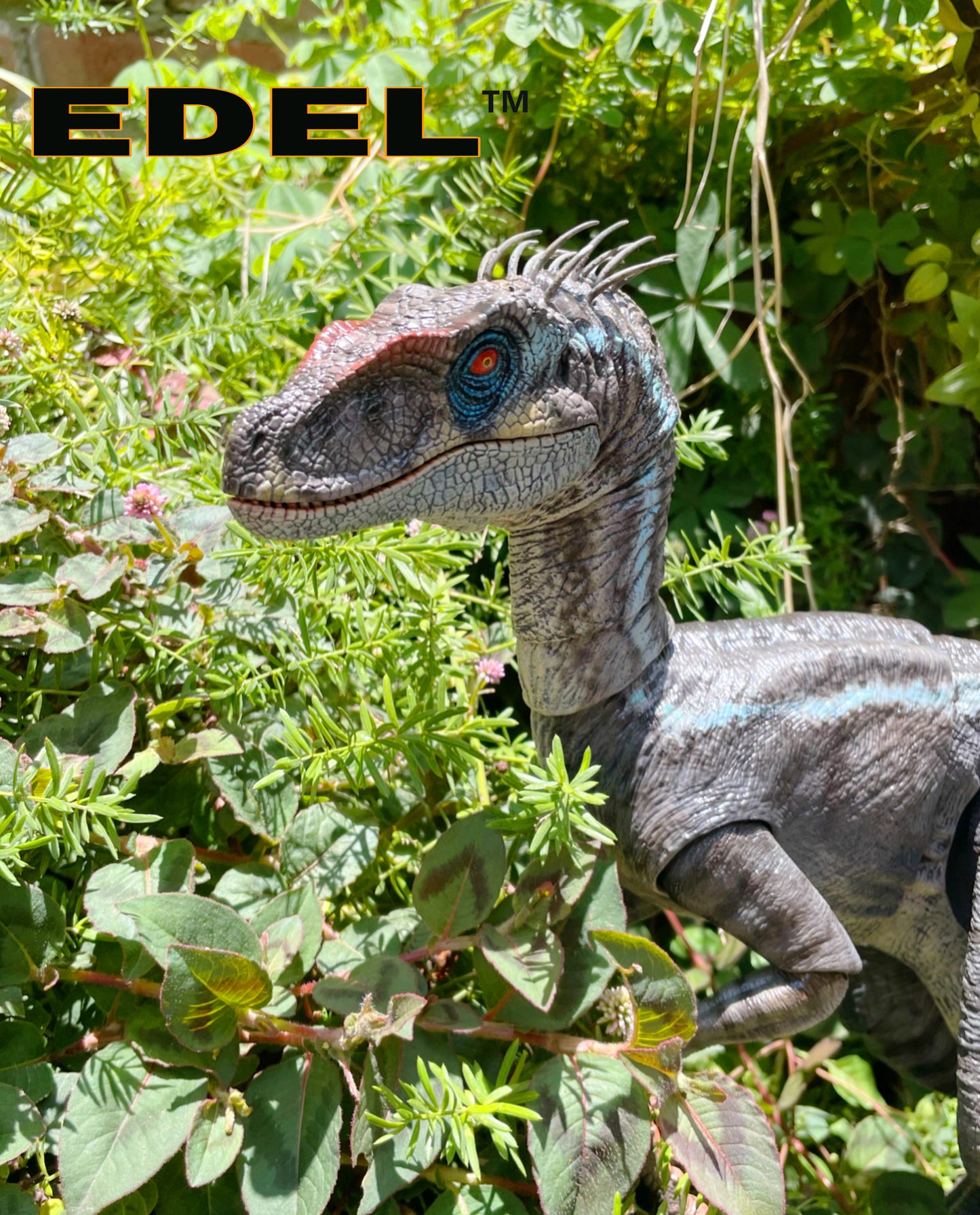 Velociraptor MV3M 1/6 scale Super Articulated INTRODUCTORY PRICE