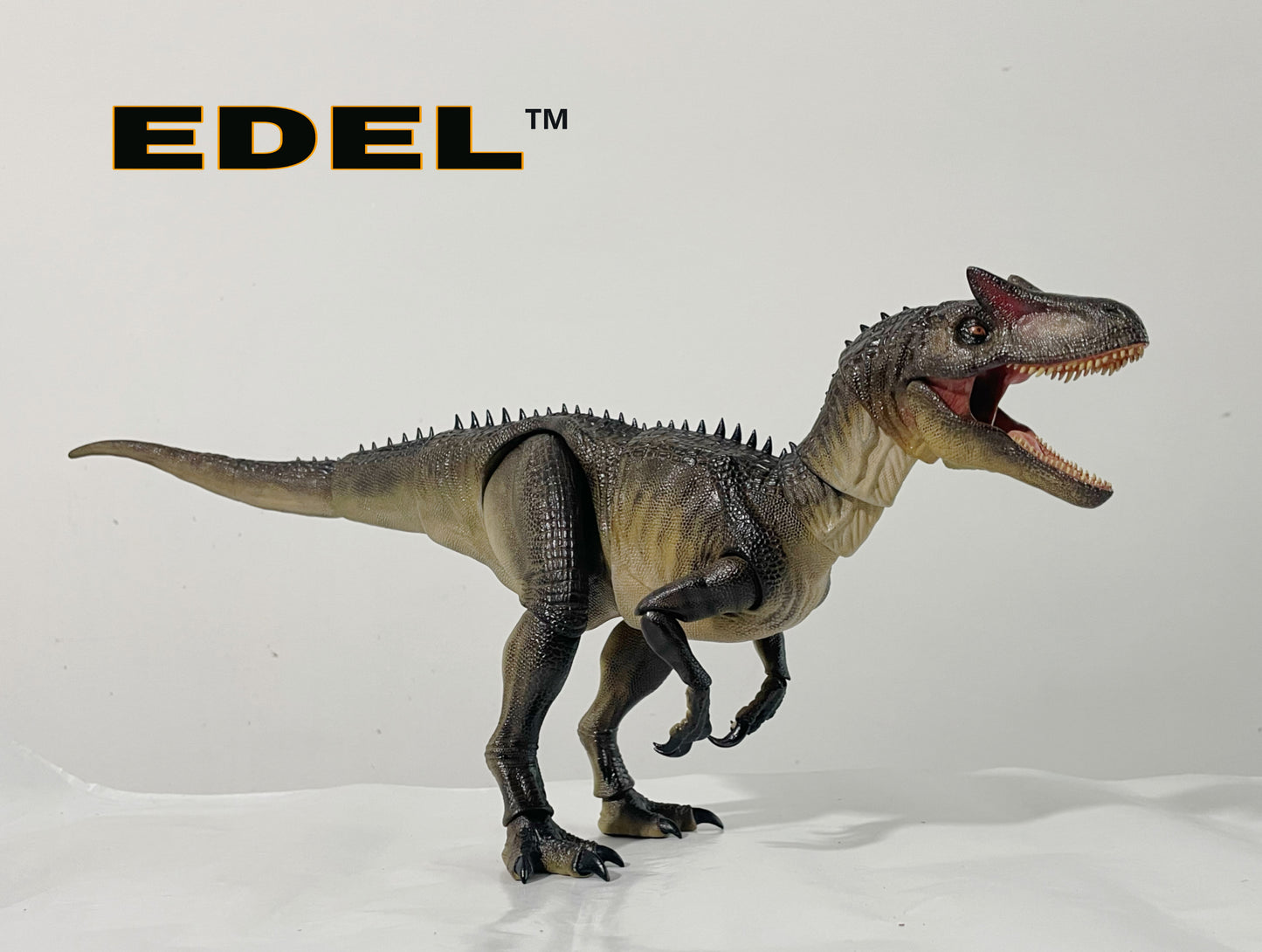 Allosaurus MVY   1/20 scale super Articulated