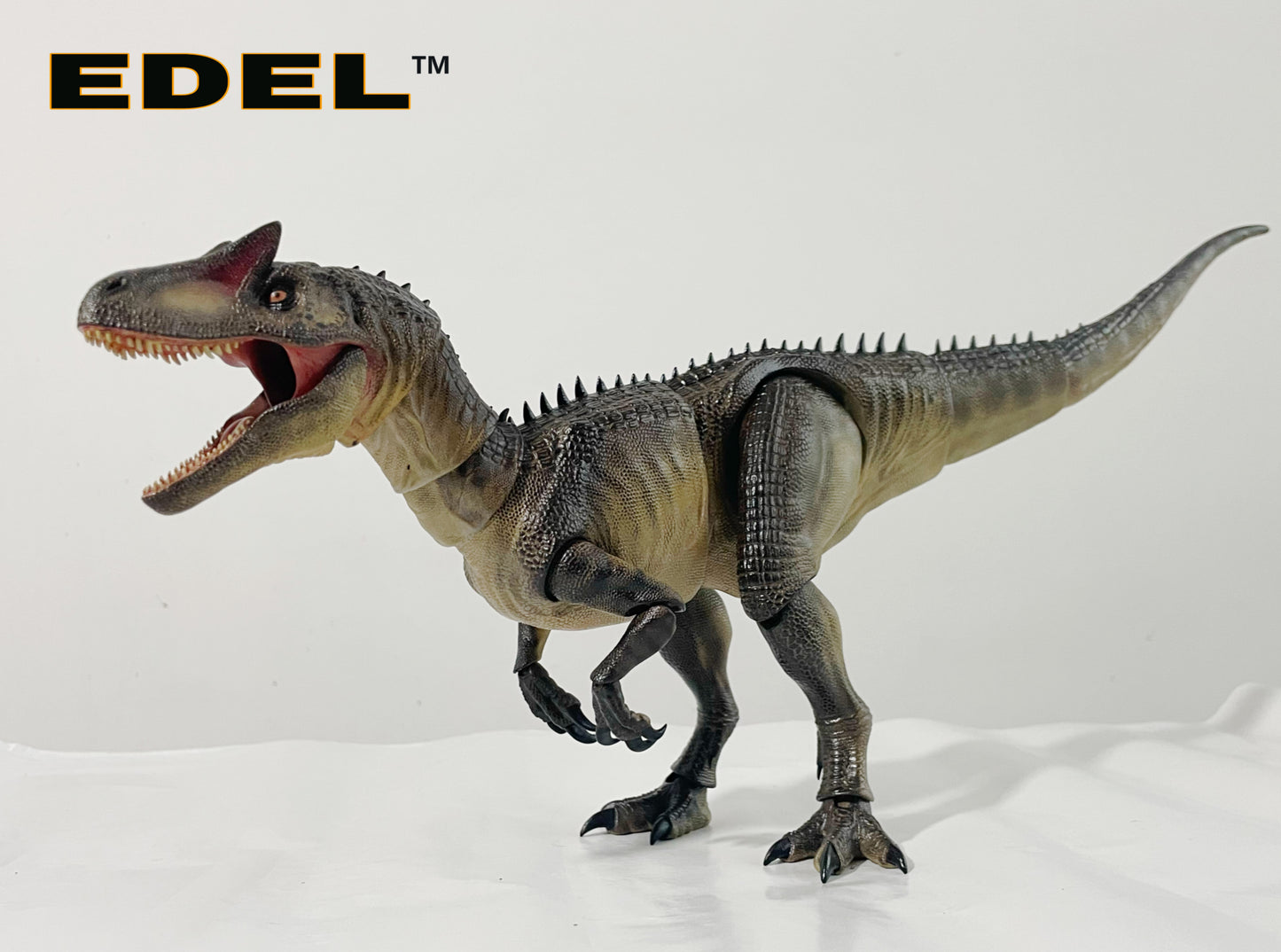 Allosaurus MVY   1/20 scale super Articulated