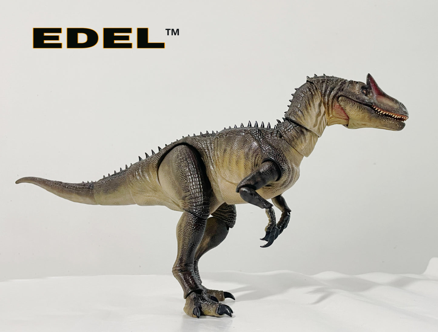 Allosaurus MVY   1/20 scale super Articulated