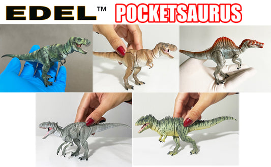 Pocketsaurus pack of 5