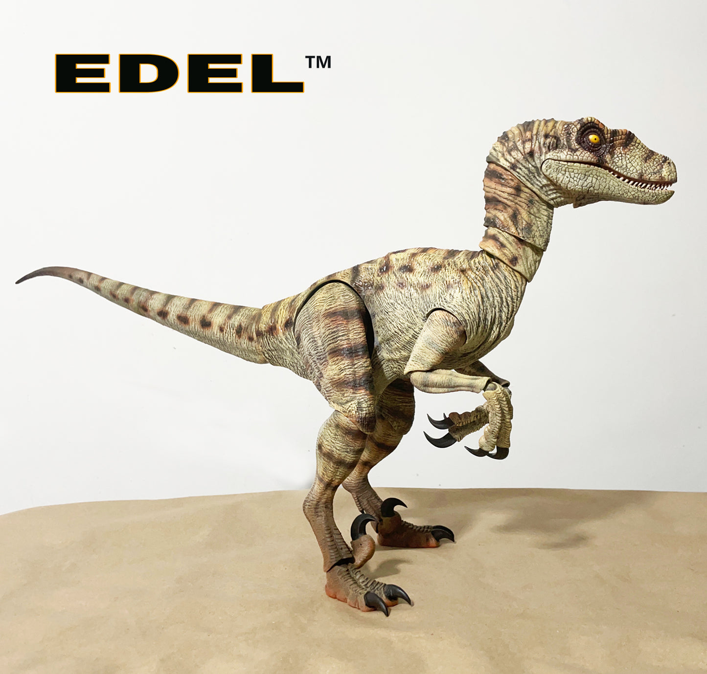 PAIR of Velociraptor MV3 F&M 1/6 scale Super Articulated INTRODUCTORY PRICE limited