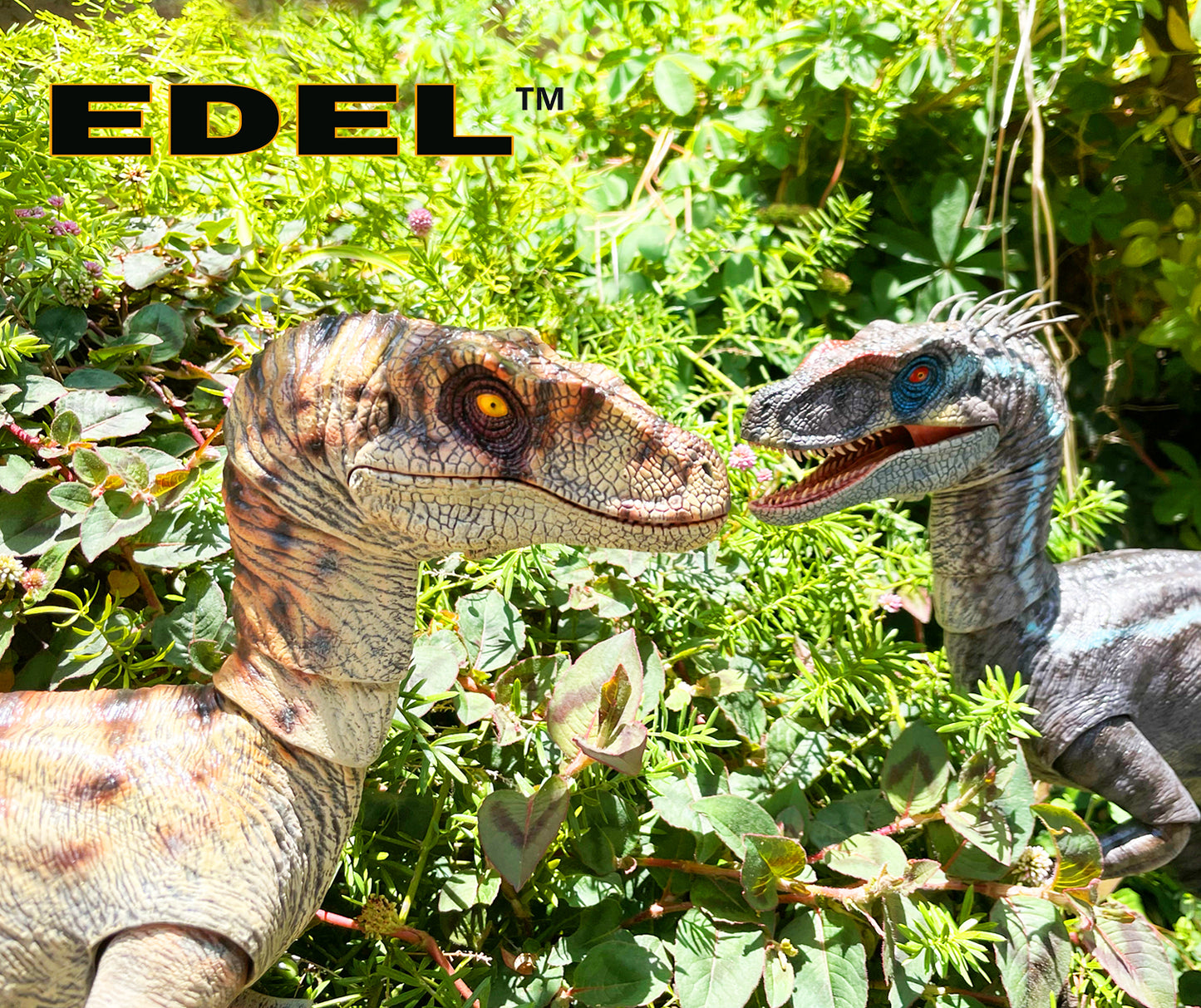 PAIR of Velociraptor MV3 F&M 1/6 scale Super Articulated INTRODUCTORY PRICE limited